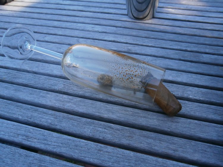 Montecristo Robusto Reserva del Milenio final inch in a filthy champagne glass