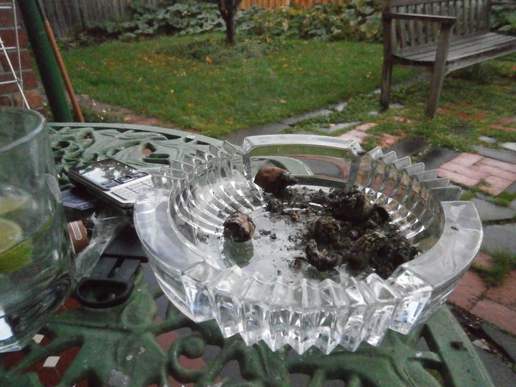Montecristo Salomones II Montecristo Humidor nub in a glass ashtray