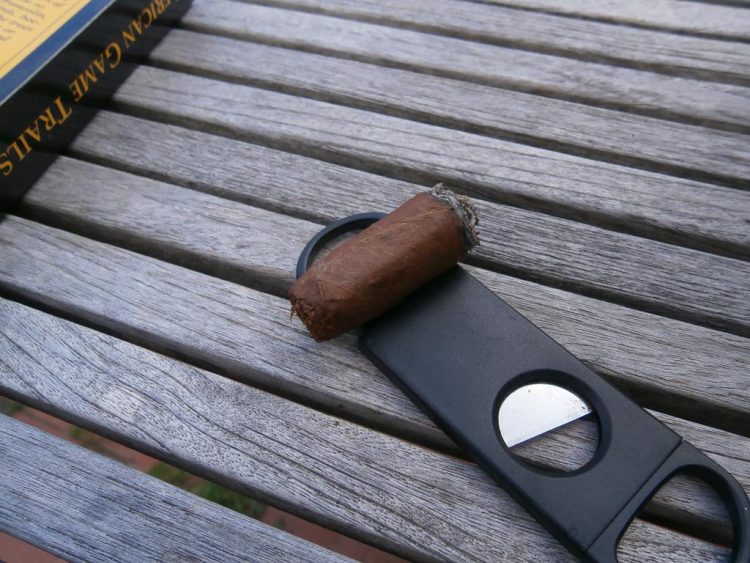 Nub of a Montecristo Open Regata on a plastic cigar cutter