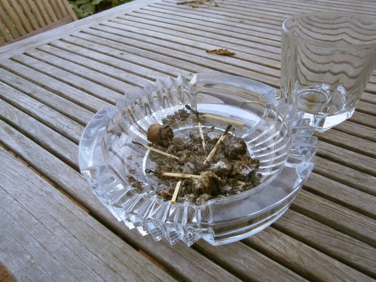 Montecristo 520 Edición Limitada 2012 nub, ashes, and lots of matches