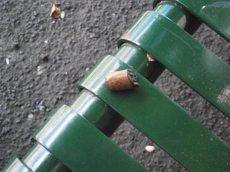 Montecristo B Compay Centennial Humidor nub, on a park bench