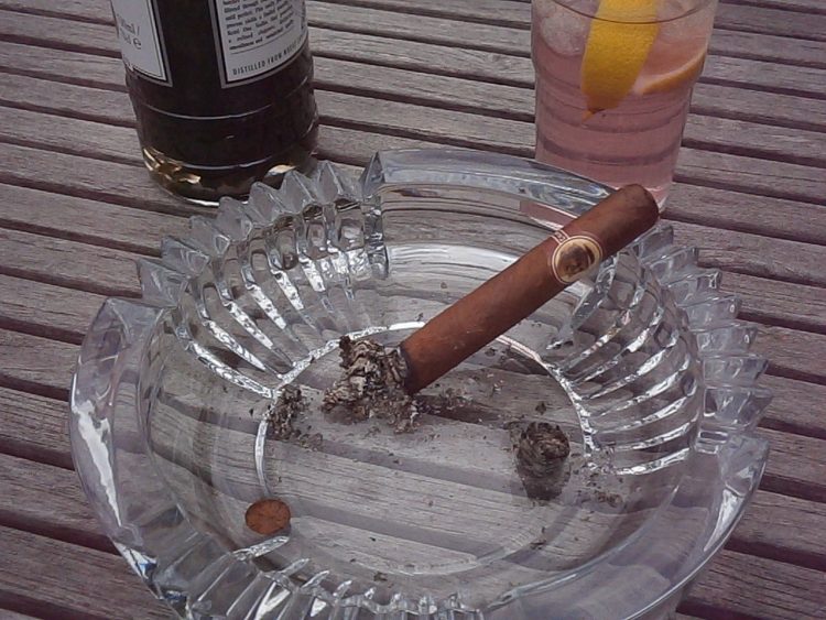 Montecristo No. 4 Compay 95 Aniversario Humidor partially burnt with a glass of shiso vodka and tonic