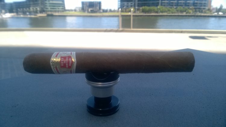 Hoyo de Monterrey Epicure No. 1 unlit and in the shadows.