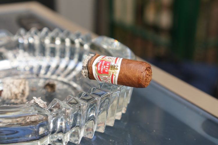 Hoyo de Monterrey Petit Robustos, the final chunk.