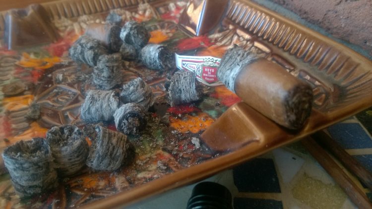 Hoyo de Monterrey Le Hoyo des Dieux nub