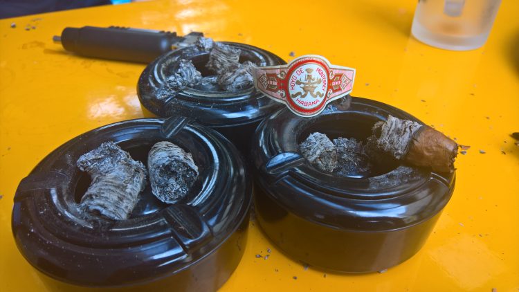 Hoyo de Monterrey Monterrey, nub and ashes.