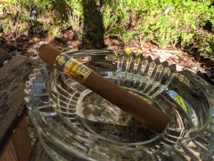 Cohiba Novedosos unlit in the afternoon sun.