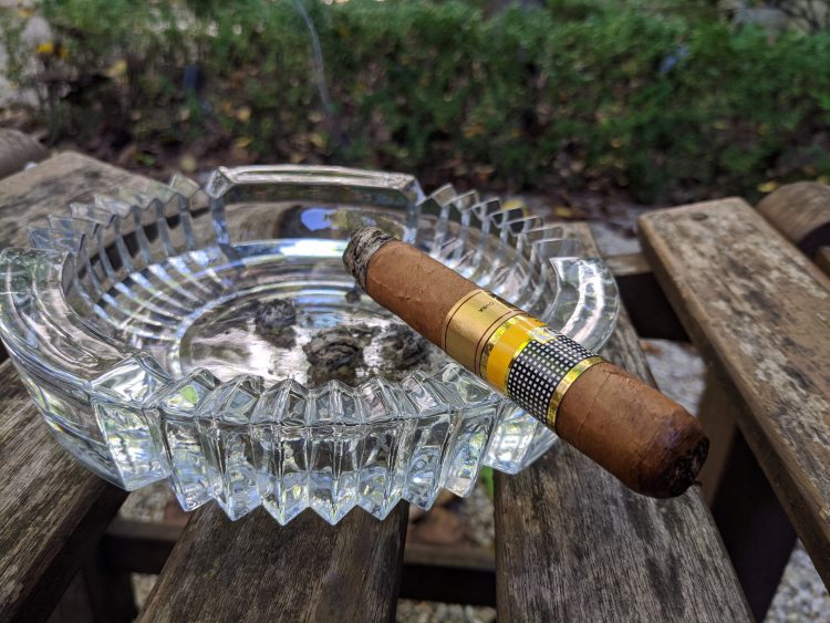 Cohiba Novedosos, about half burnt.