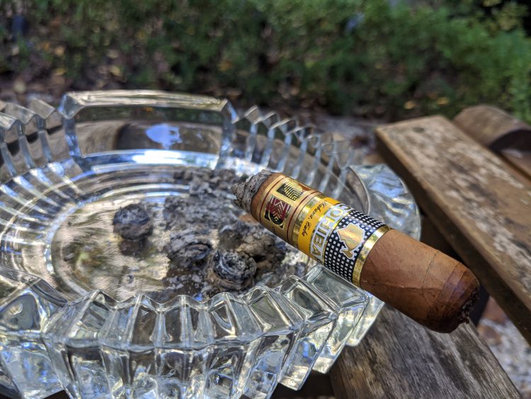 Cohiba Novedosos, burnt to the bands.